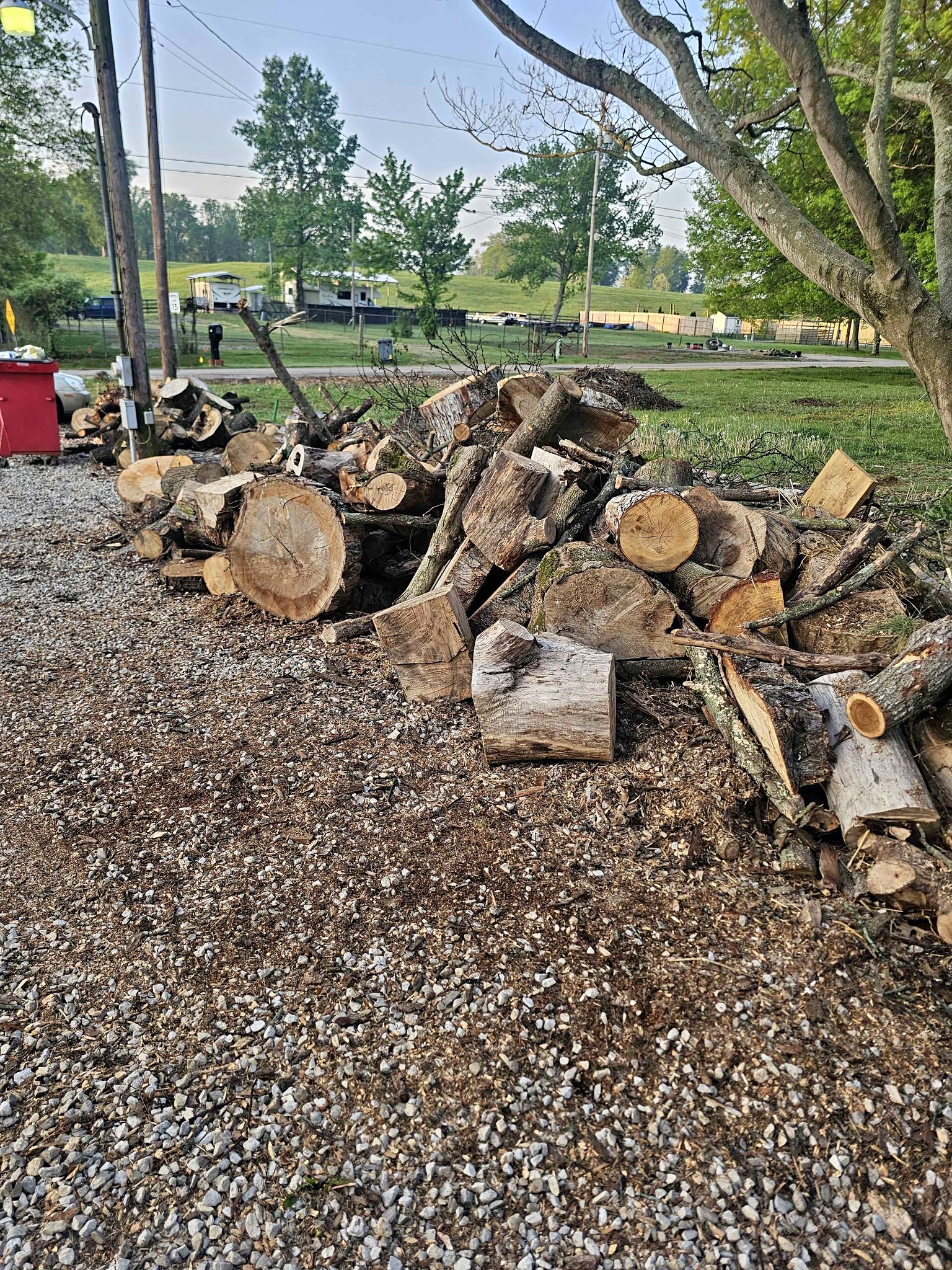 Free firewood - Miscellaneous - Point Pleasant, West Virginia ...