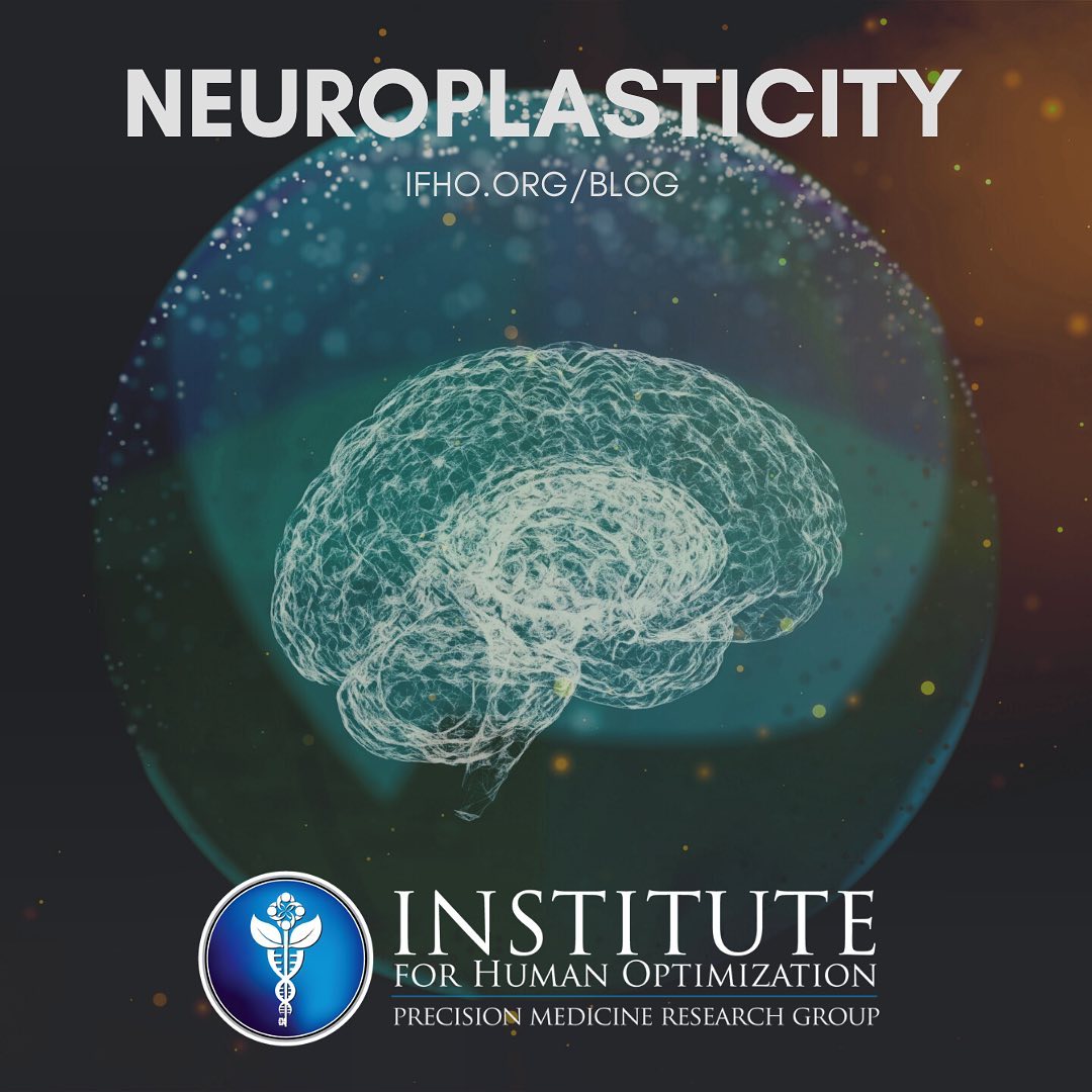 🔹In our Brain Health... - Institute For Human Optimization | Facebook