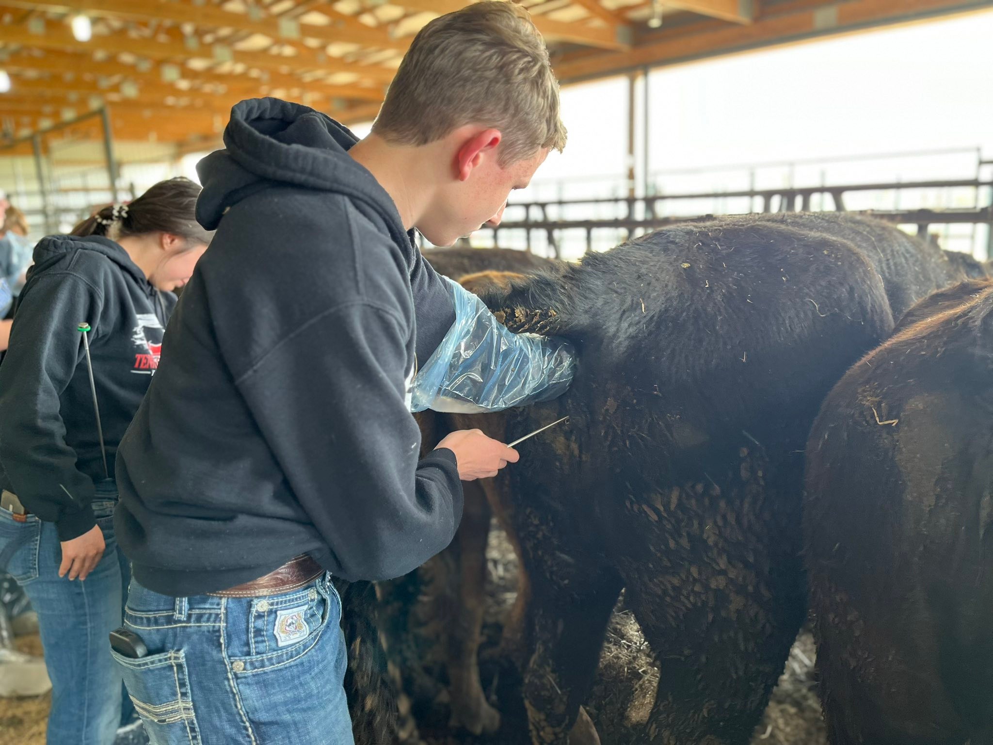 Marshfield FFA Alumni and Supporters | Facebook