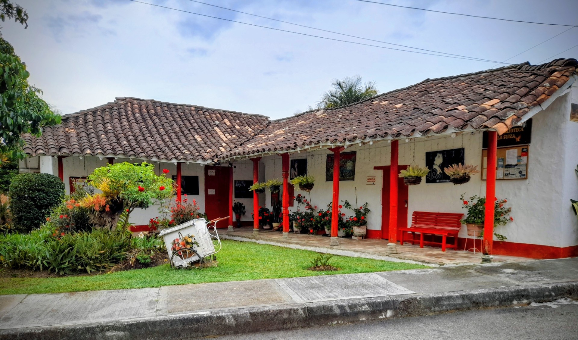 Marta Cecilia Rendon
