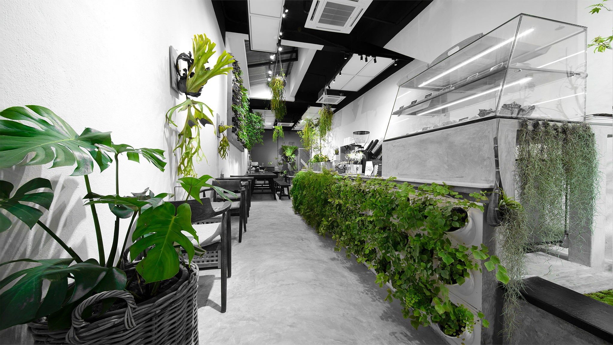 Urban Green Cabin Terrarium Enthusiast Home Facebook