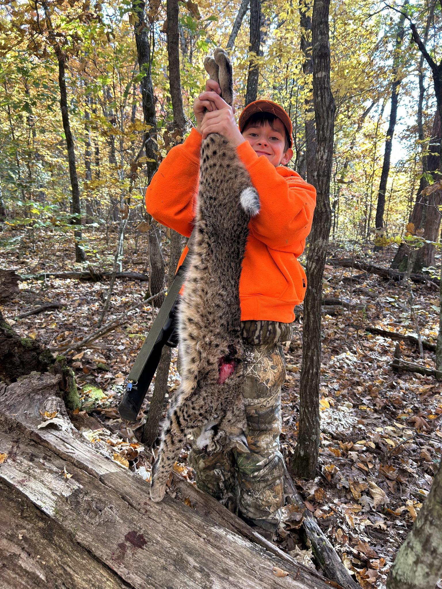 My grandson killed a bobcat on opening day of gun season at Lee creek ...