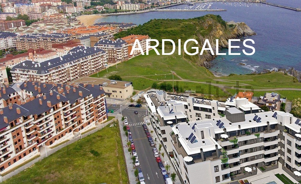 inmobiliaria-ardigales-castro-urdiales
