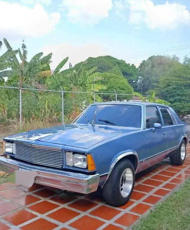 1983-chevrolet-malib-particular-commercial-vehicles-car-pano