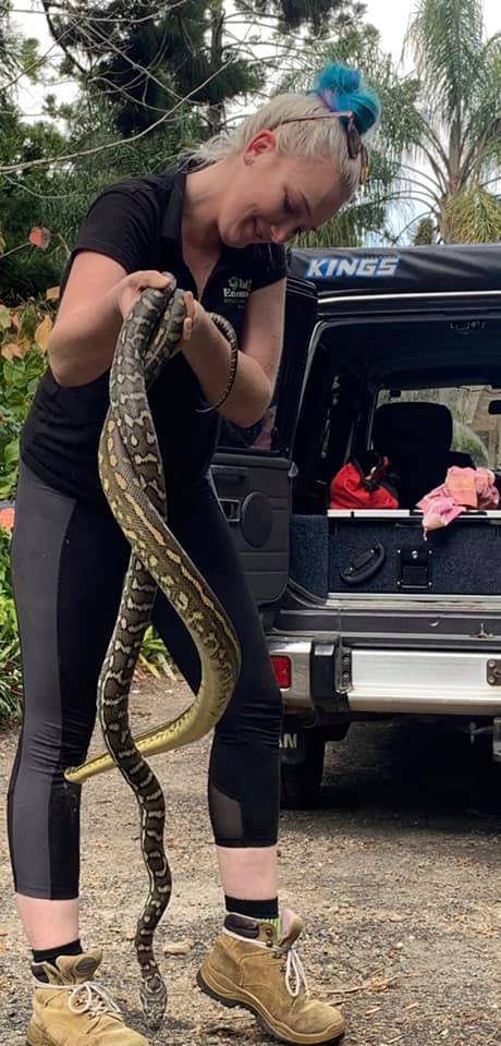 Northern Rivers Snake Catcher