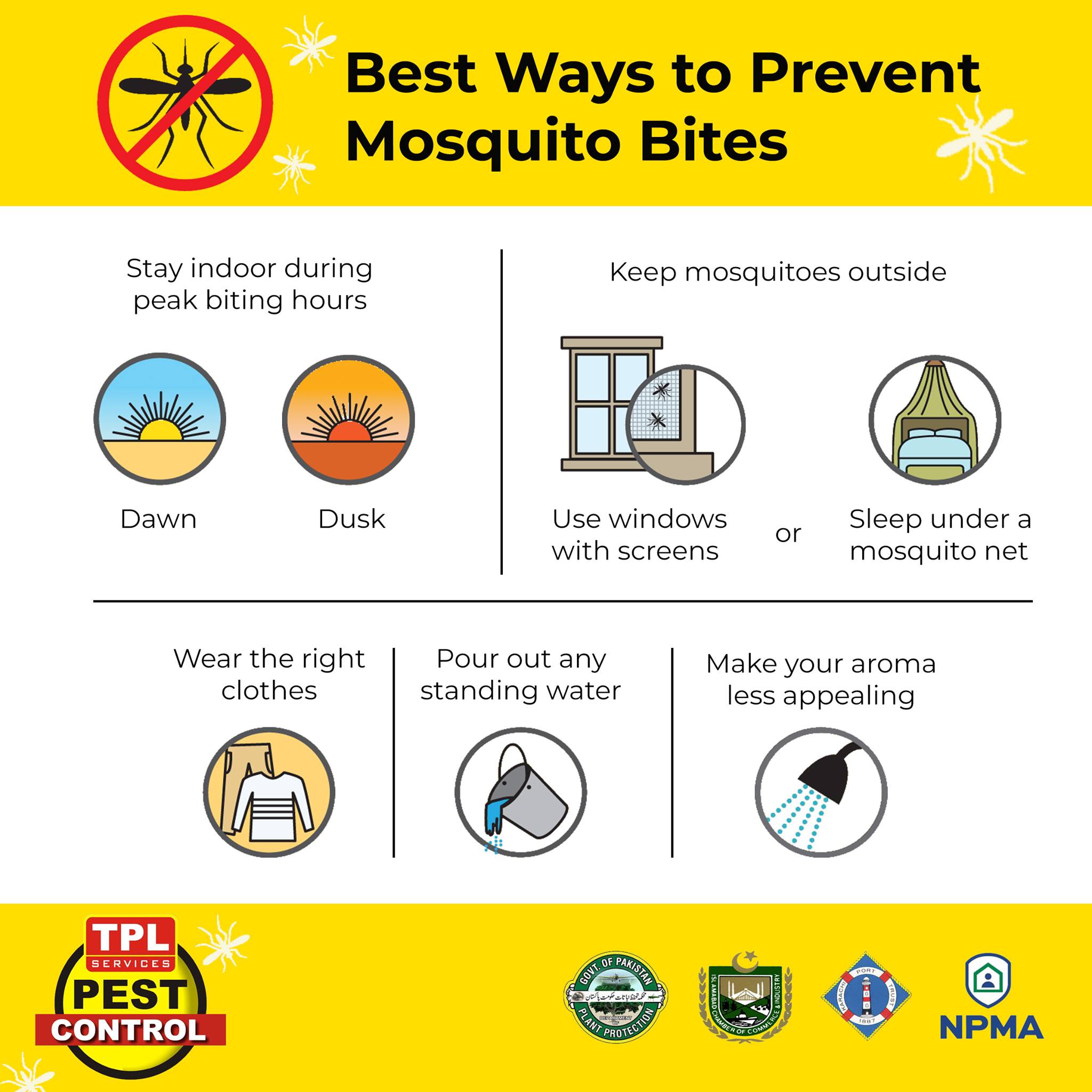 Best ways to prevent from mosquito... - TPL Pest Control