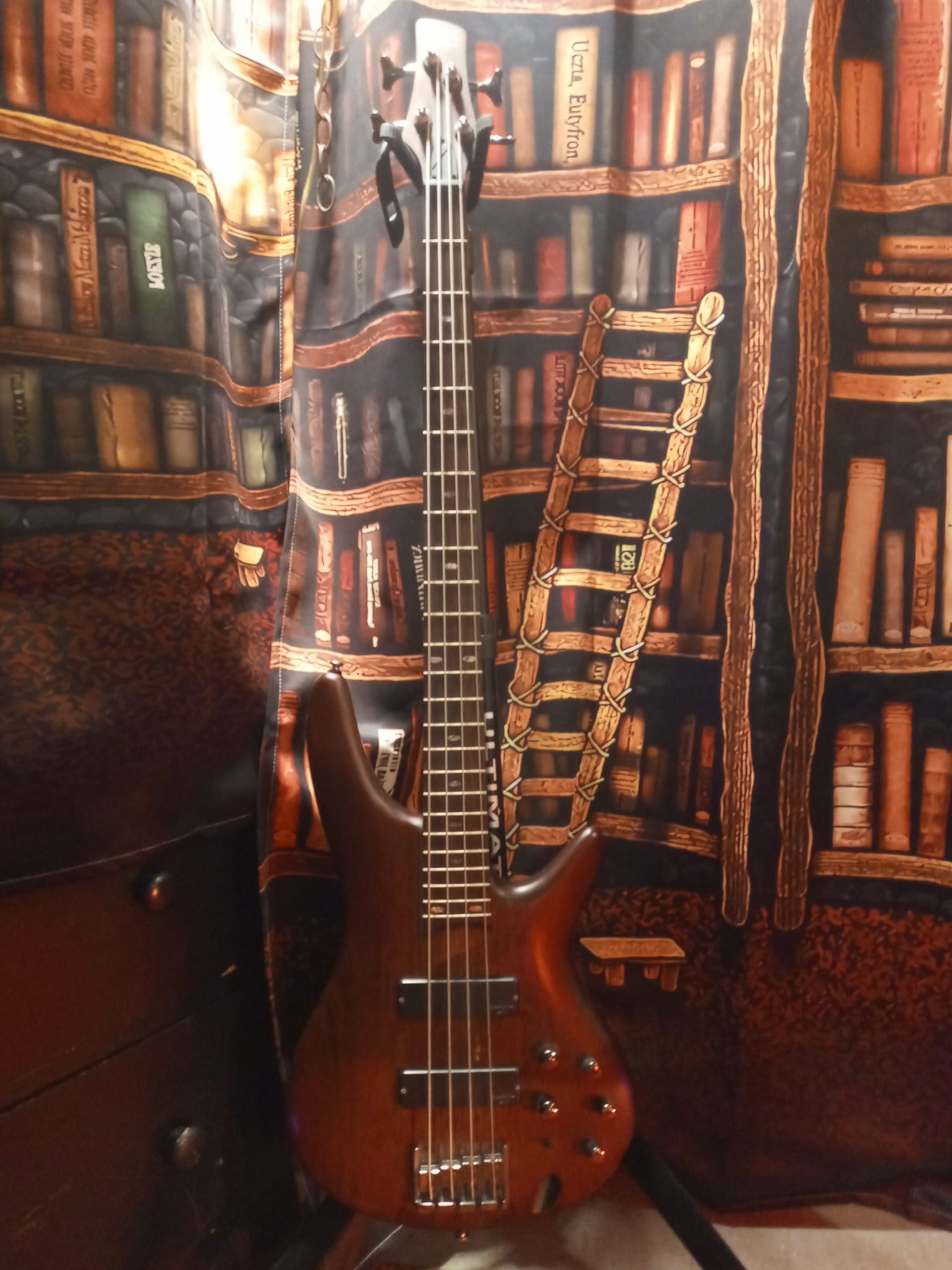My Ibanez SDGR 500 with Bartolini pickups.