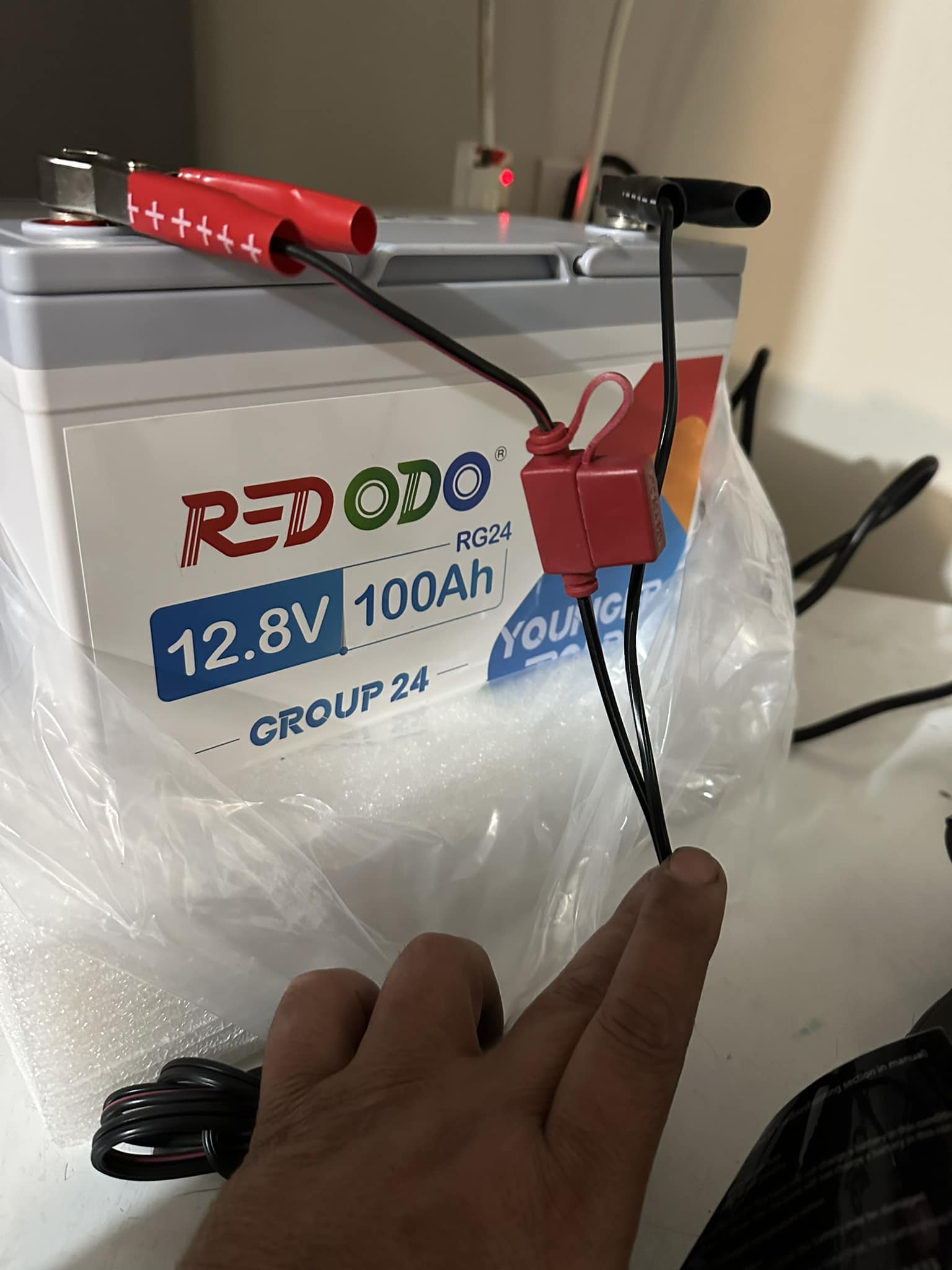 Redodo published some charge instructions for LIFEP04 batteries