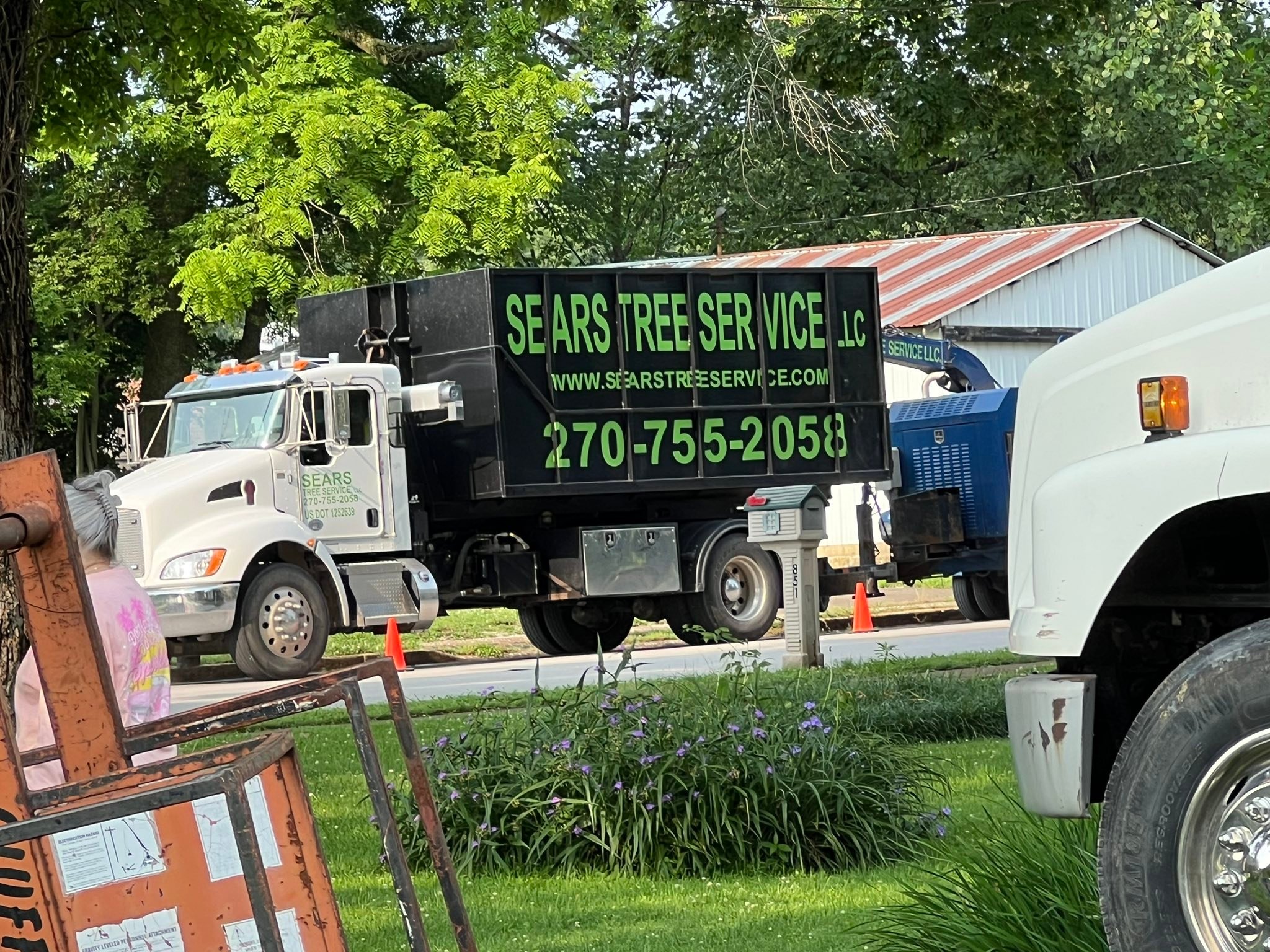 Sears Tree Service, LLC | Lewisburg KY