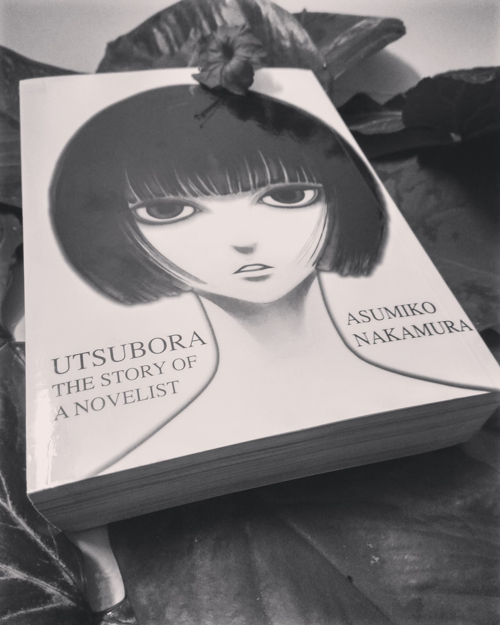 Minae Mizumura's 'A True Novel' review