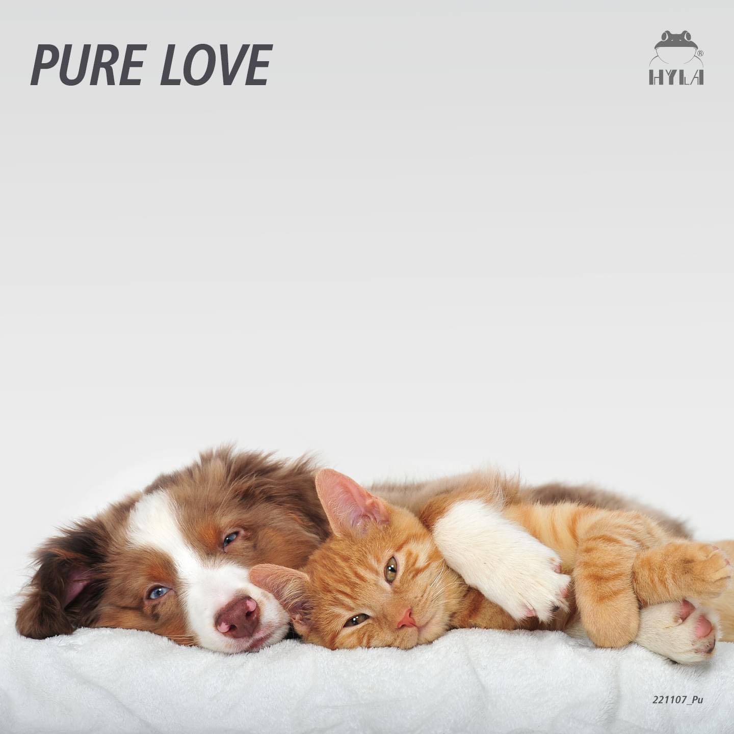 Active Green Why are pets so important and why do we...