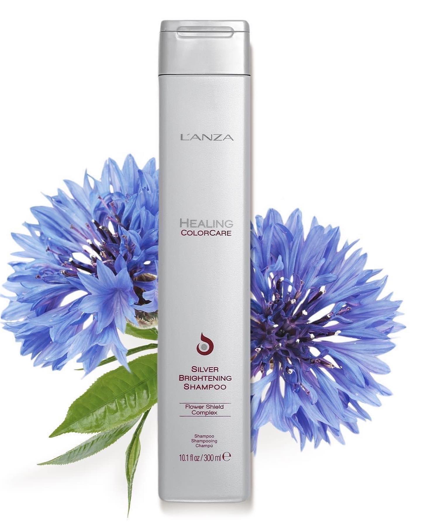 Soojee Beauty - 🤍 SILVER SHAMPOO 🤍 Achieve a bright, cool...