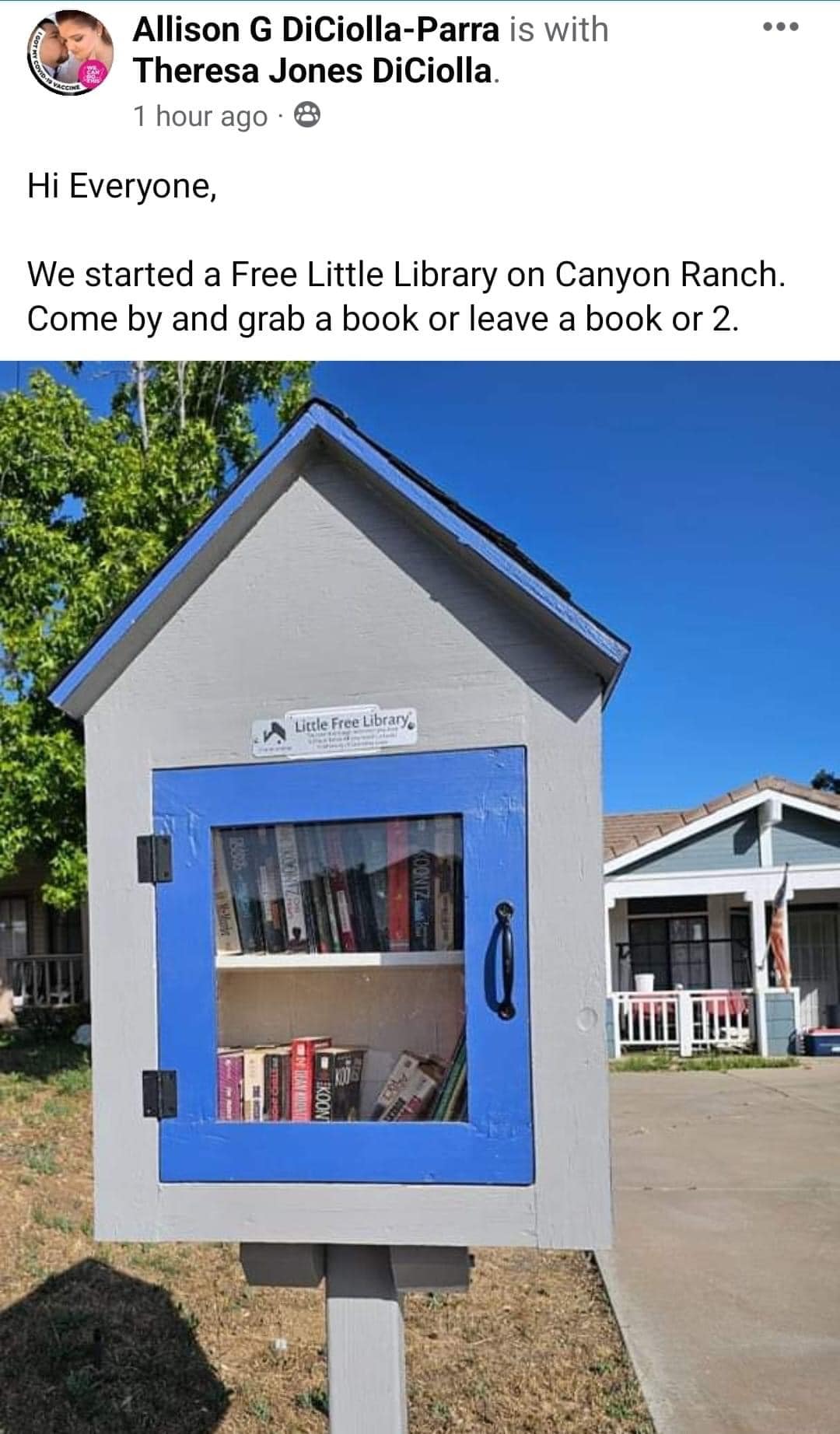Wildomar Little Free Libraries