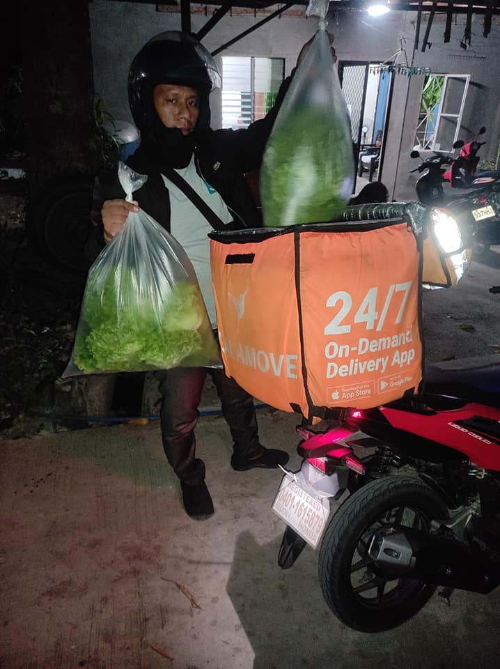 The Green Thumb Hydroponics Farm | Imus