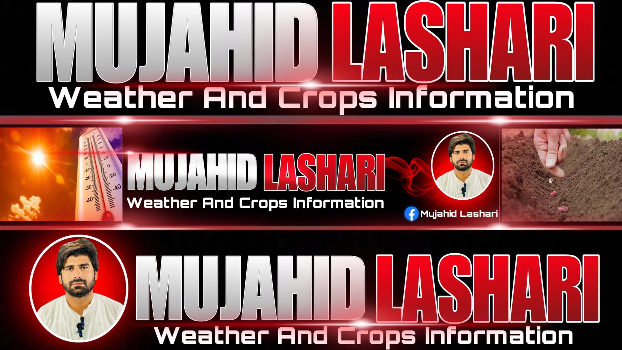 Mujahid Lashari | Layyah