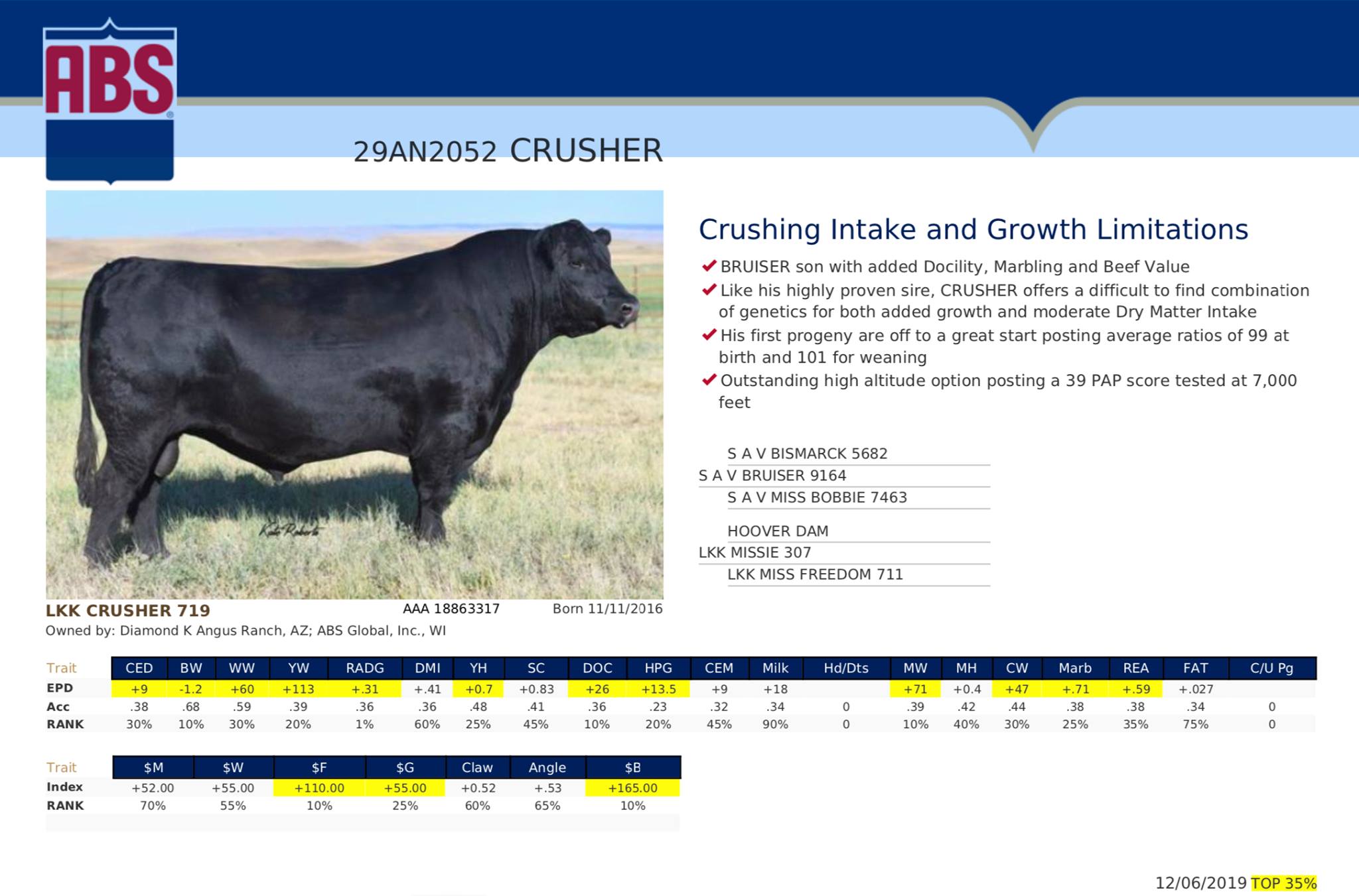Diamond K Angus Ranch | Springerville AZ