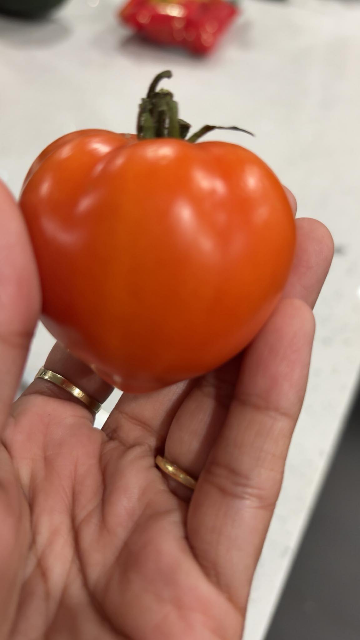 Green tomato turned red off the vine