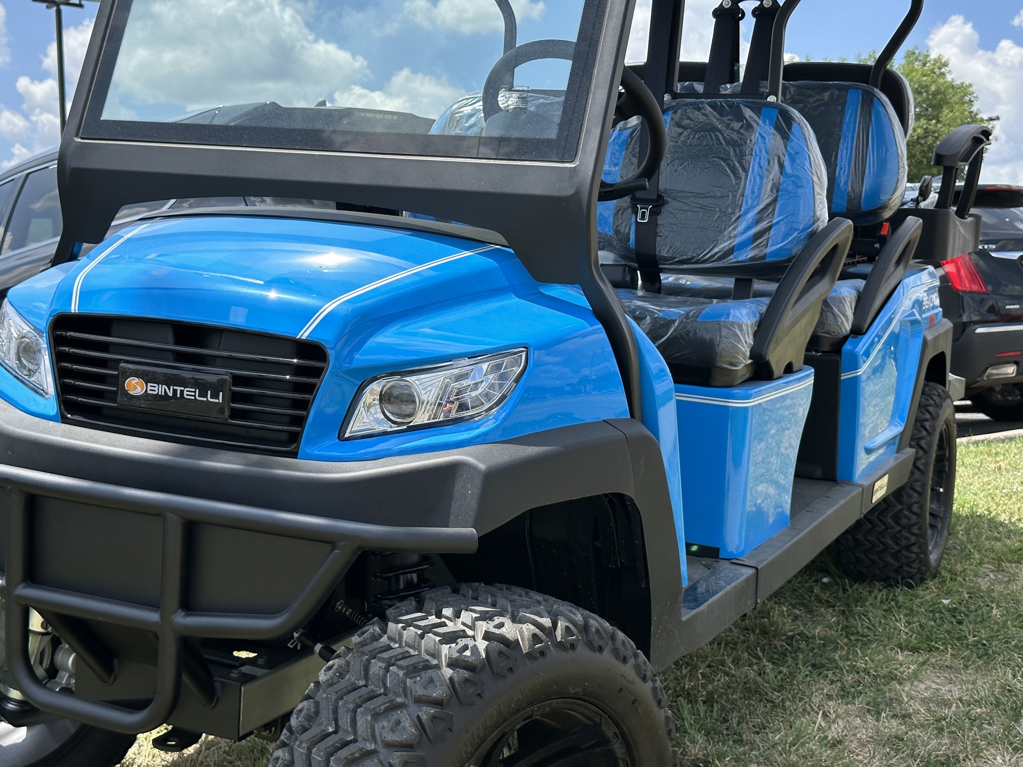 Image showcasing Nebraska Golf Carts