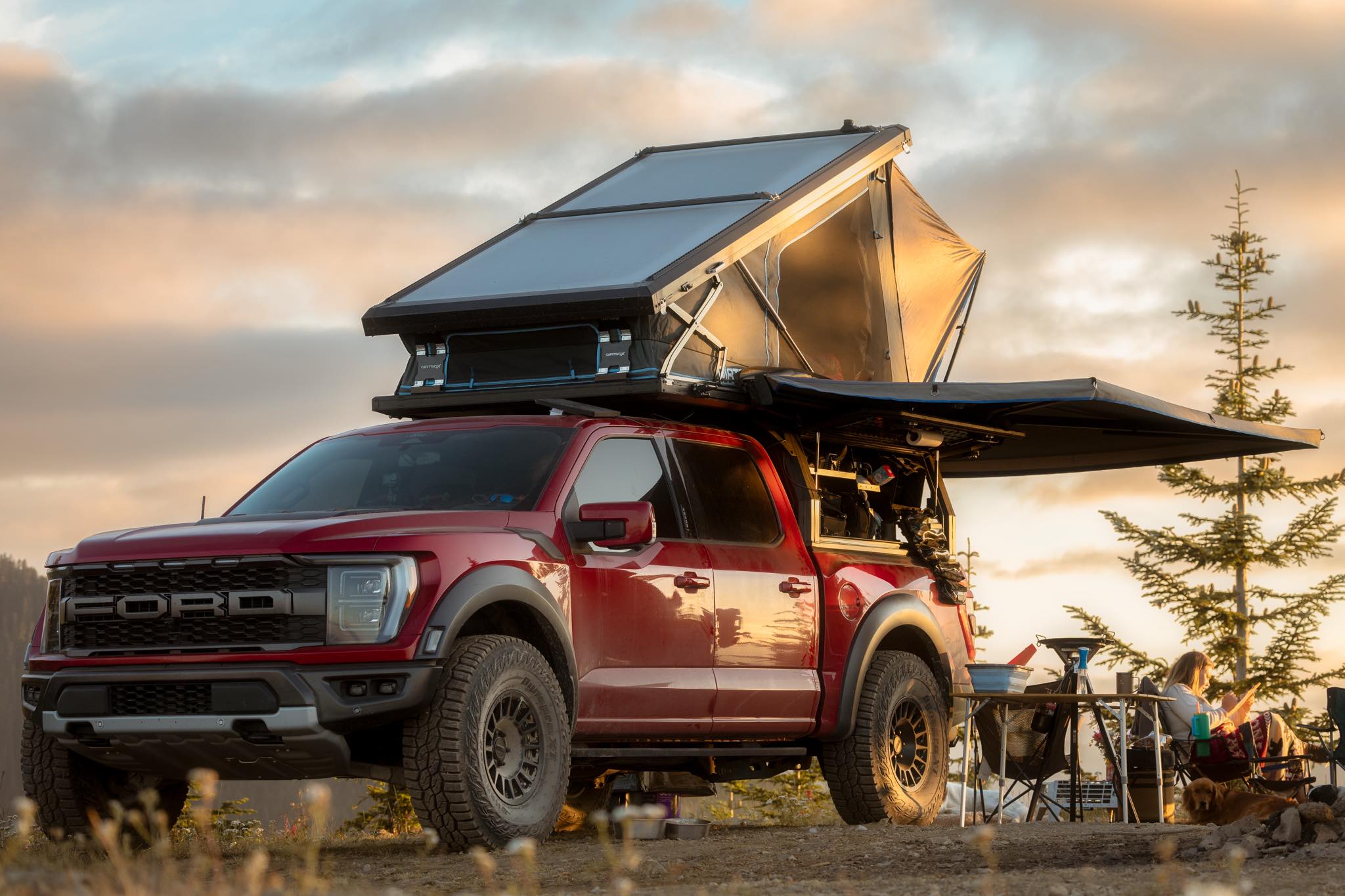 NorCal Raptor Runs | Facebook