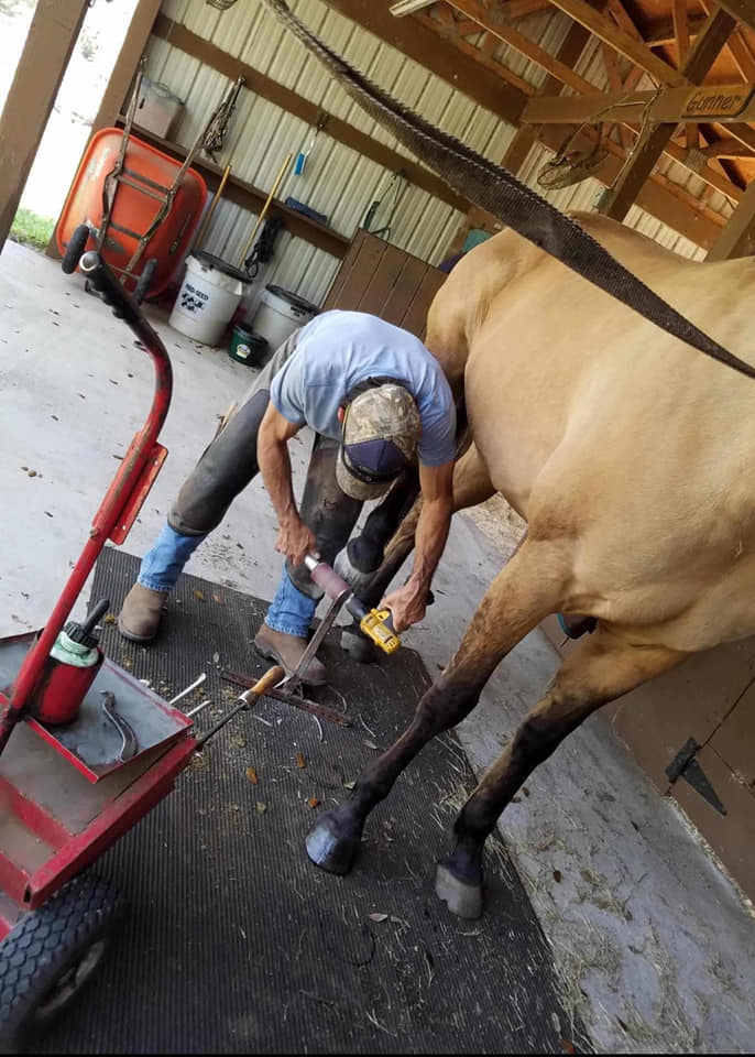 Suwannee River Farriers | Live Oak FL