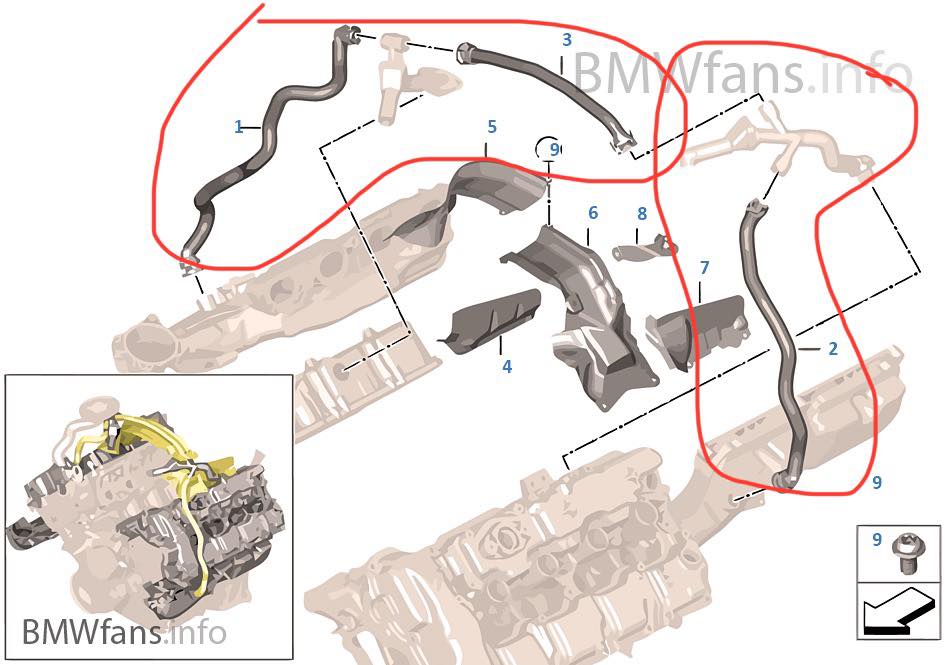 What are the part numbers for the crankcase hoses?