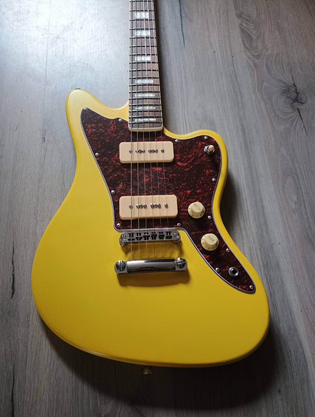 So this is what i did with Harley Benton JA-60 kit
