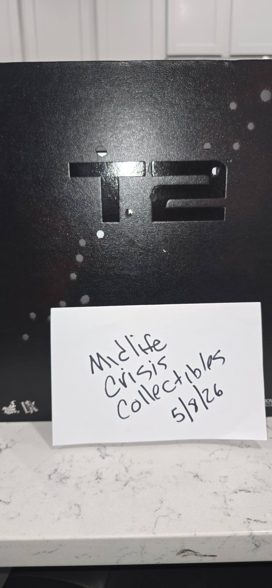 Hot Toys T-800 battle damaged DX13 for sale