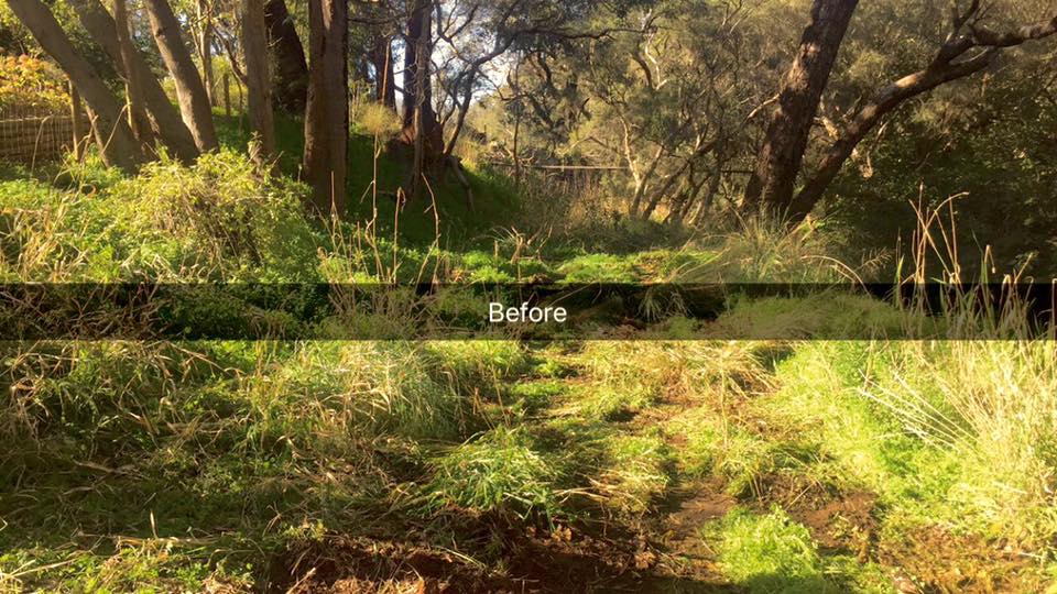 Contour Landscapes | Perth WA