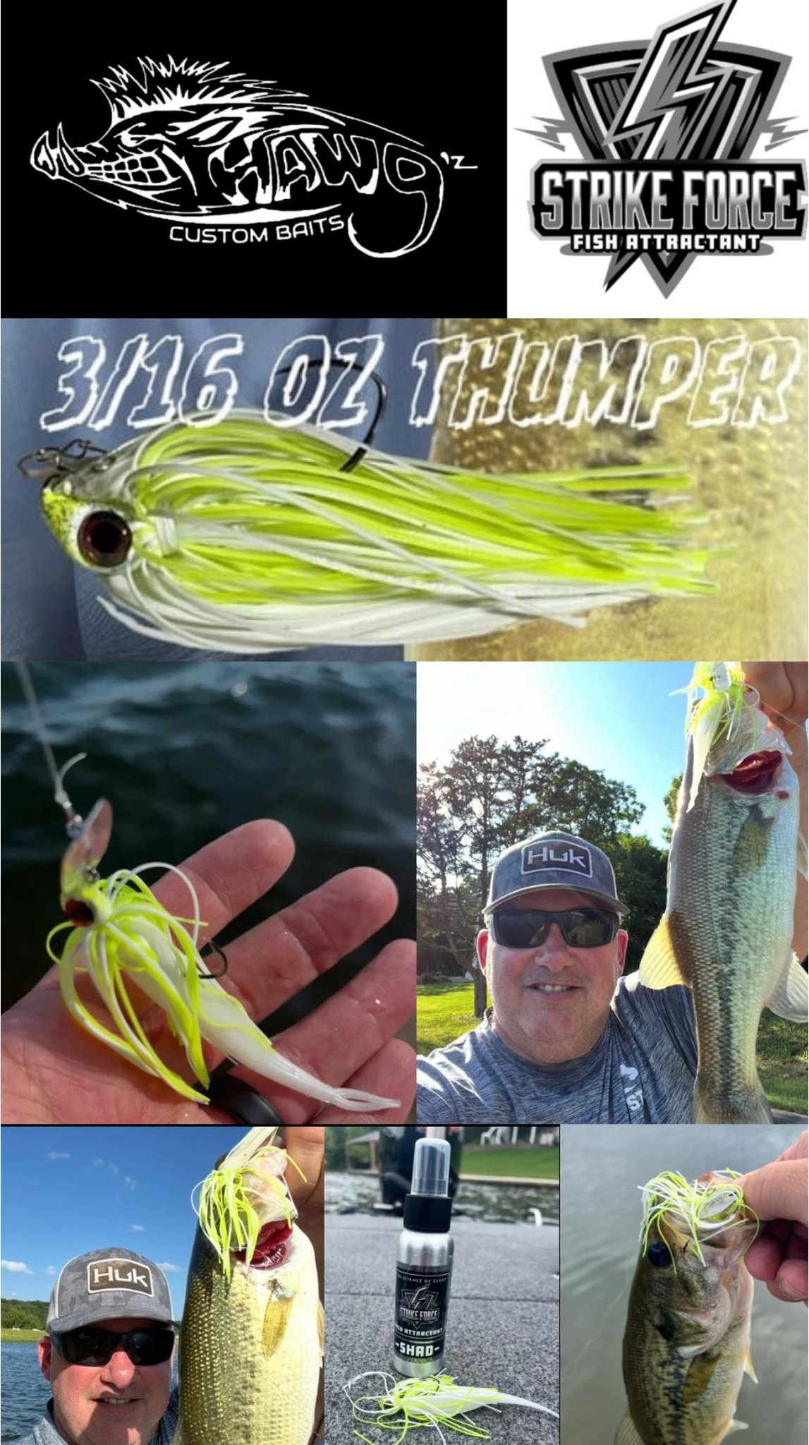 berkley fishing bait company PowerBait Saltwater CullShad 5in 3pk Mermaid Fat B level action and durability Abu Garcia Fishing Rods Color:Beetlejuice