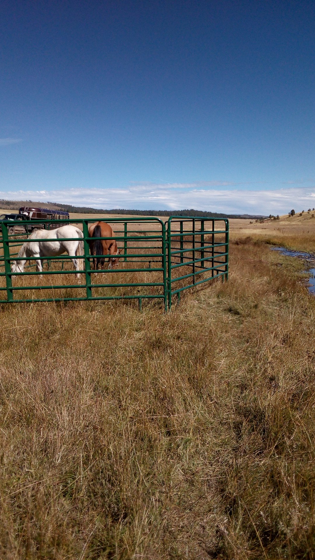 Flying Box Ranch Horse and Cow Camp