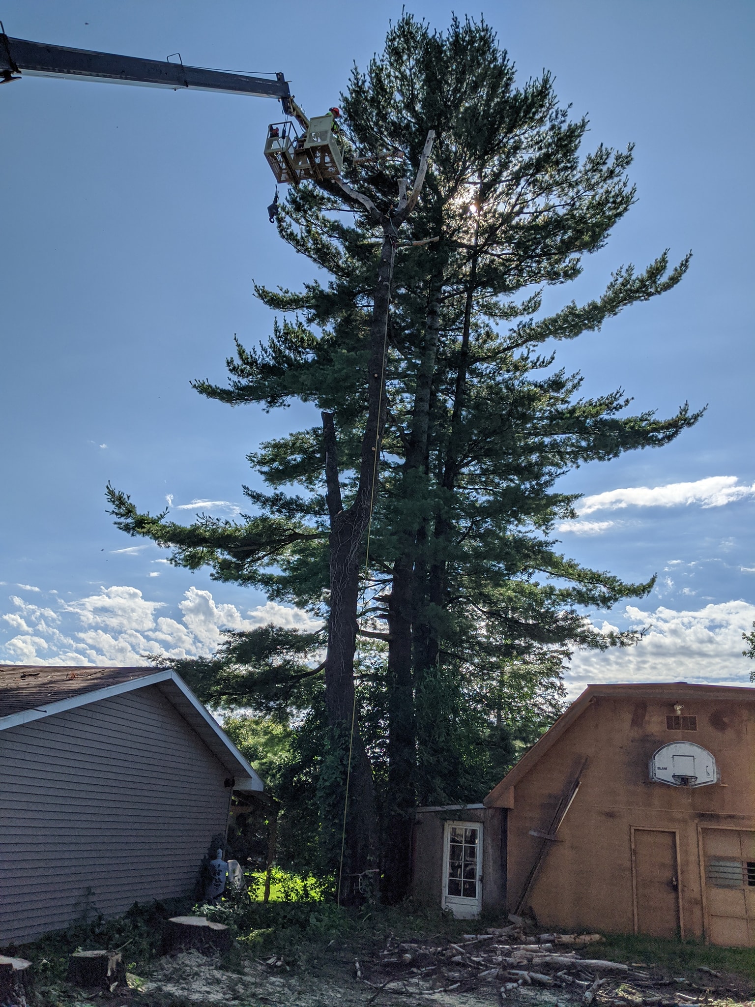 Boomtown Tree Service LLC | Park Falls WI