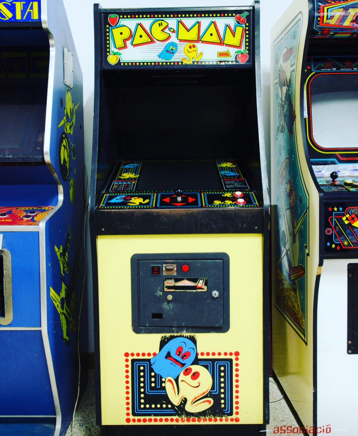 Arcade Cat - “Pac-Man” es un videojuego arcade diseñado... | Facebook