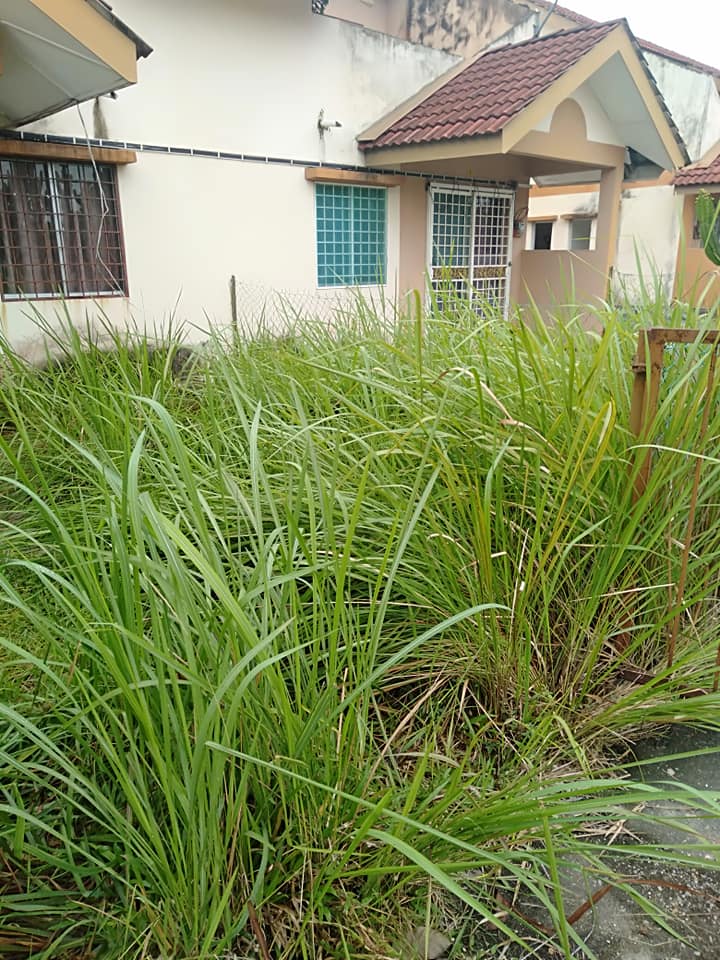 Servis Potong Rumput added a new photo. - Servis Potong Rumput