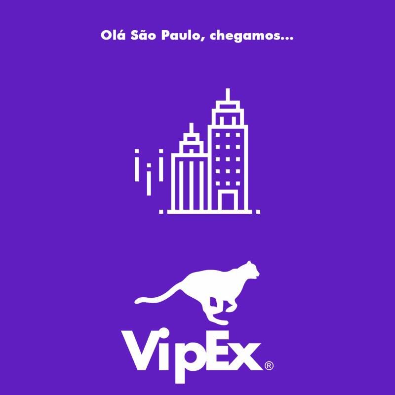 Grupo Vipex Transportes