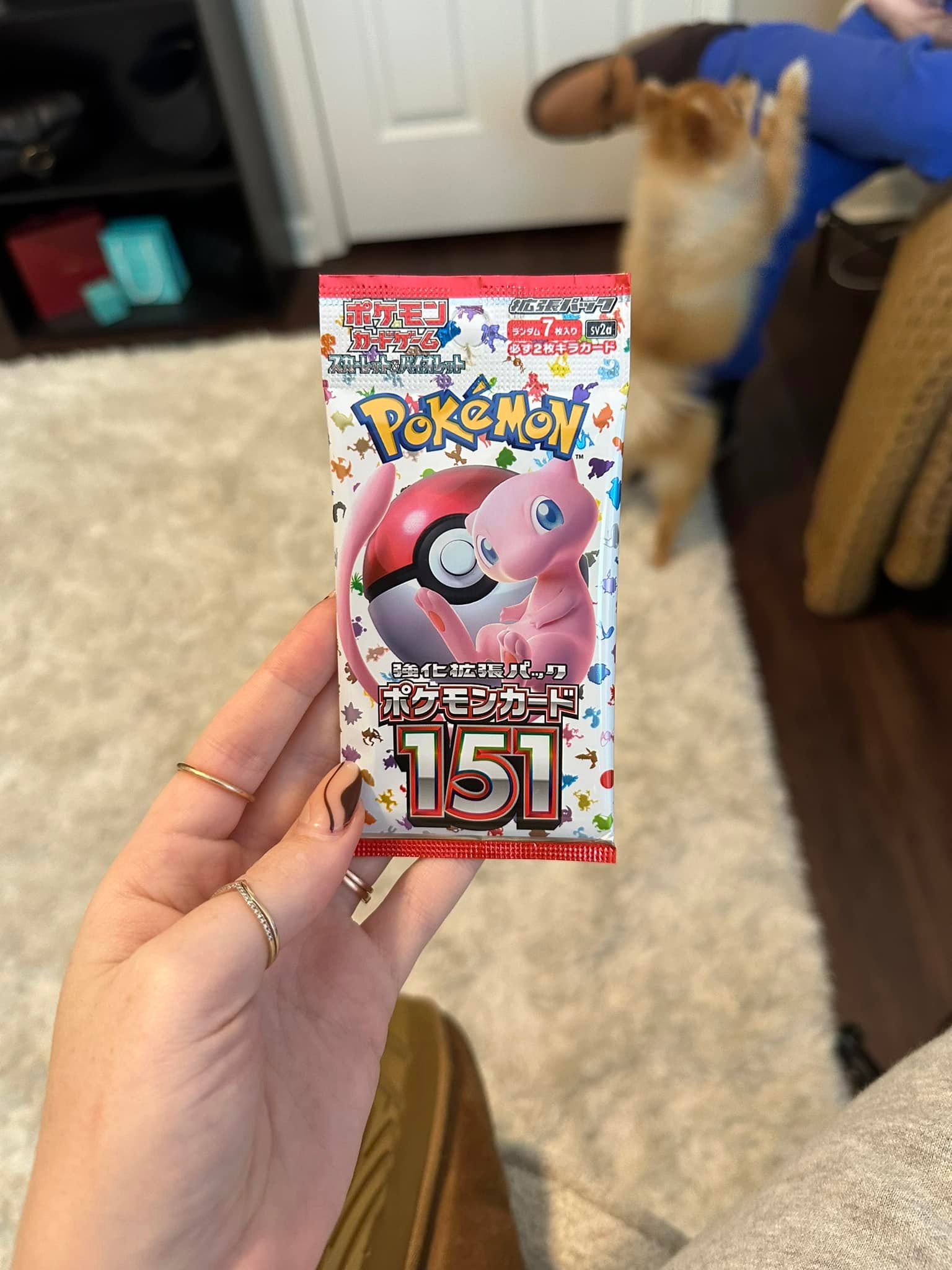 ebay digimon cards Old Digimon Cards