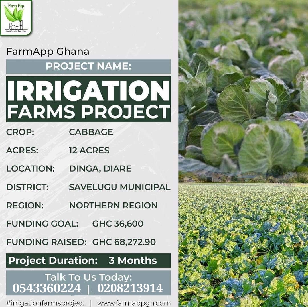 JOHN OWUSU - The FarmApp cabbage project sponsorship...