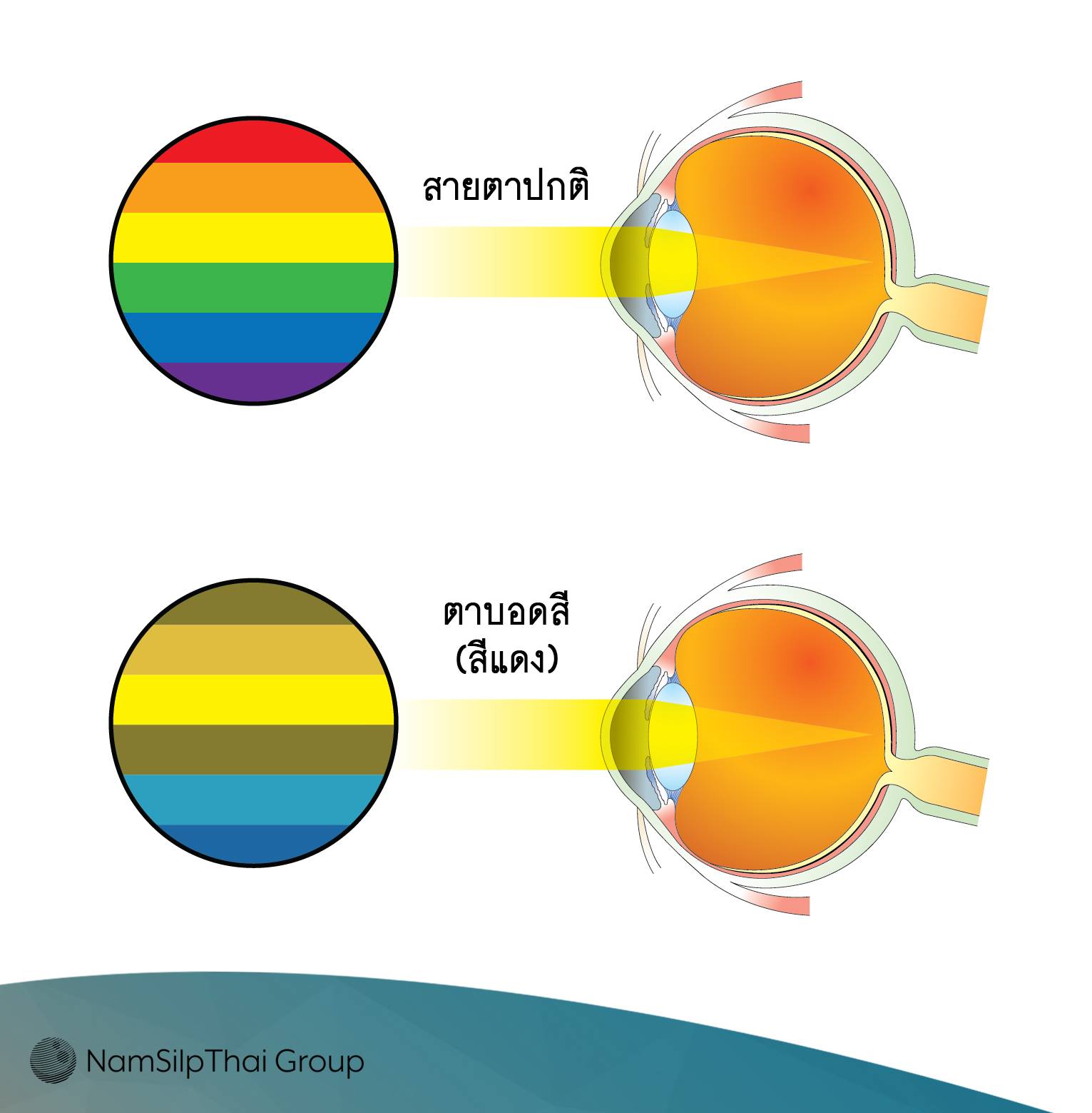 เซียนแว่น - สีที่คนตาบอดสีเห็นจะประมาณนี้ | Facebook