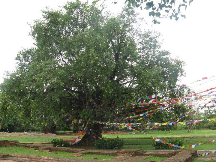 Tour in Nepal | Kathmandu