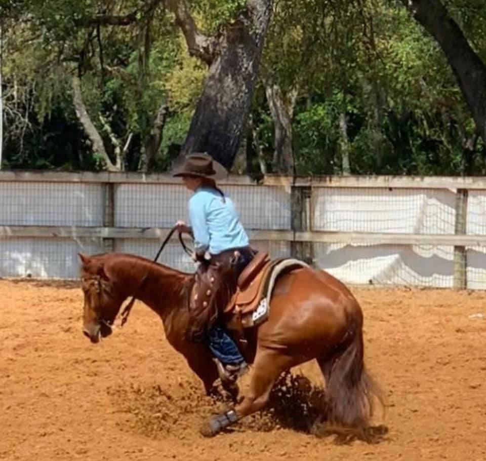 KB Rockin Ranch - 🌟 looking for a trainer? Read about... | Facebook