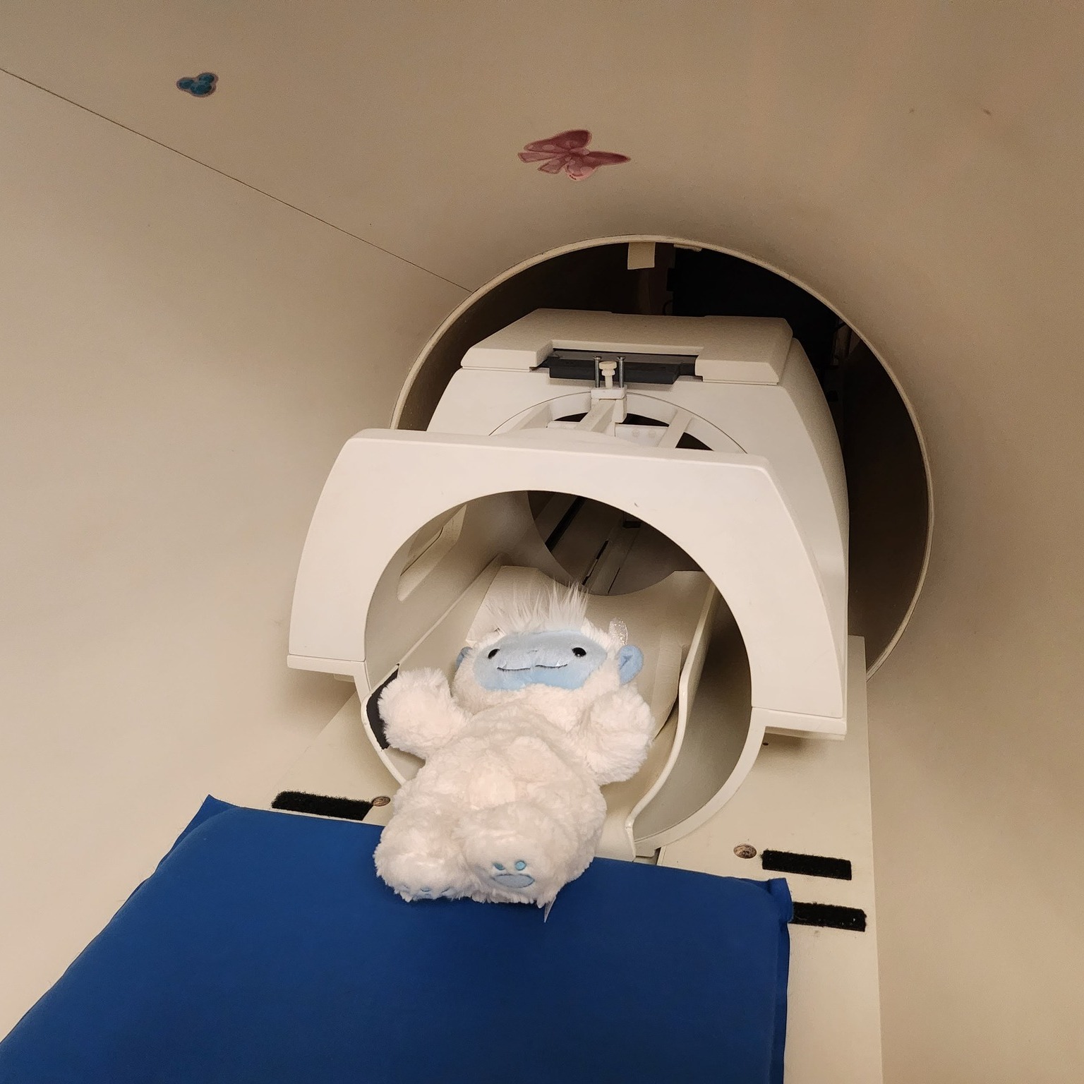 YETI Lab - For one of our studies (the ProNET study) we... | Facebook
