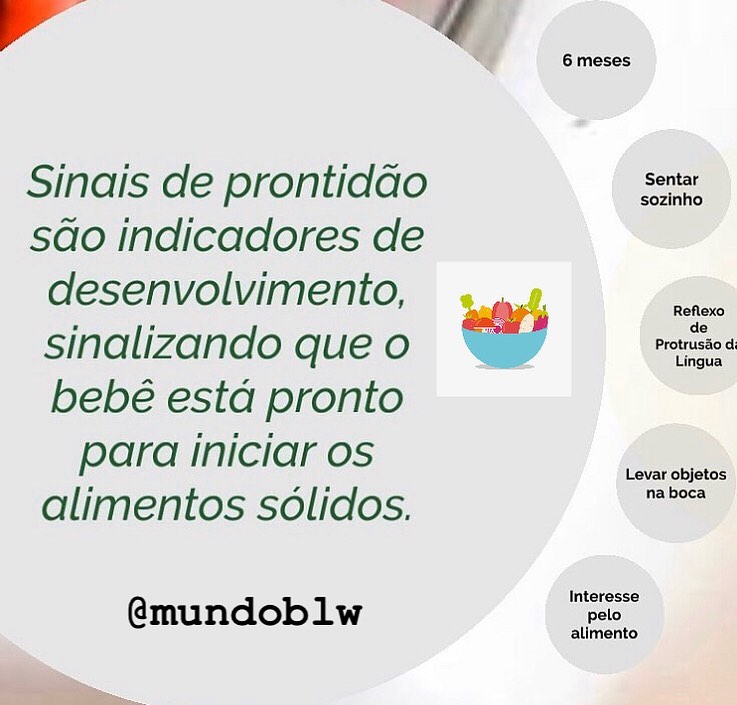 Mundo BLW - Quais são os sinais de prontidão que mostram...