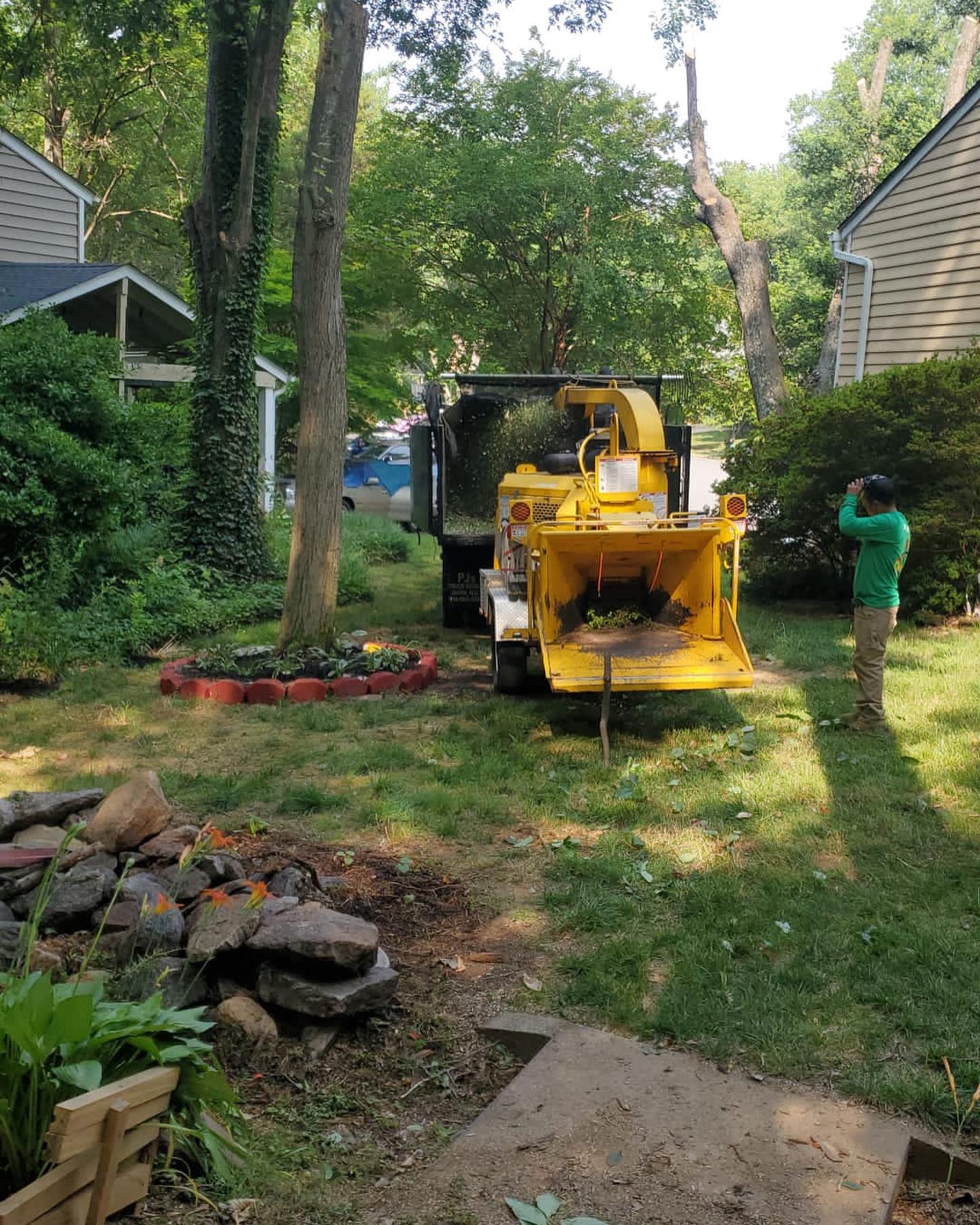 Cardinal Tree Care LLC | Arlington VA