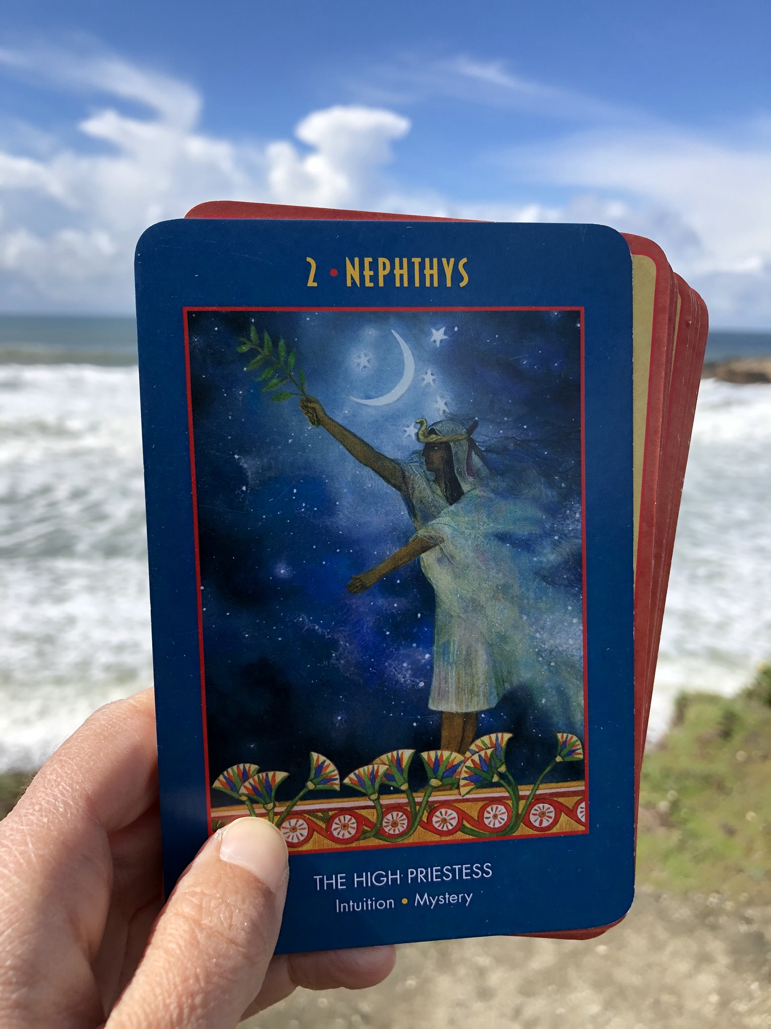 Oracle card... - Venus Rising Association for Transformation | Facebook