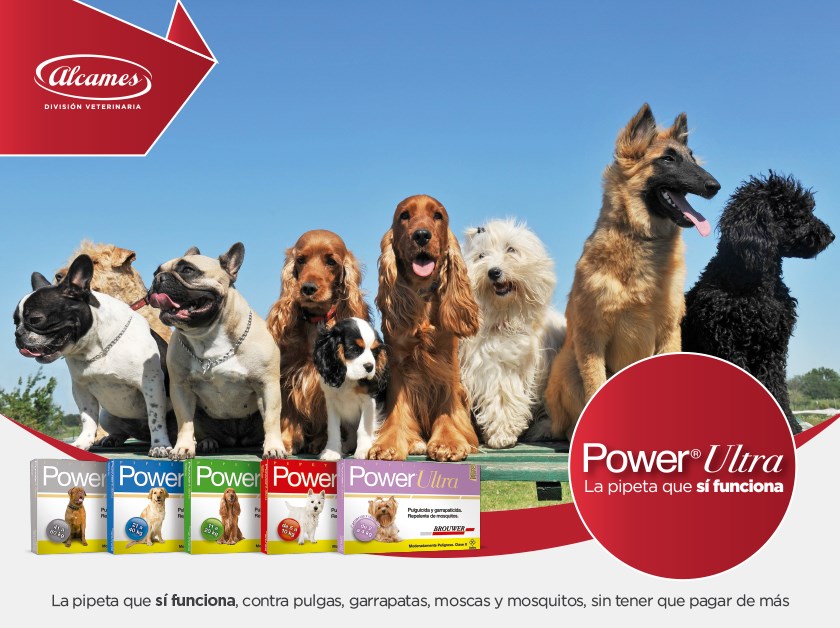 Para prevenir y eliminar... - Alcames División Veterinaria