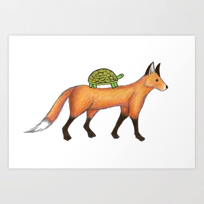 F.L.Y Yoga - Have you heard of the story of the fox and turtle ...