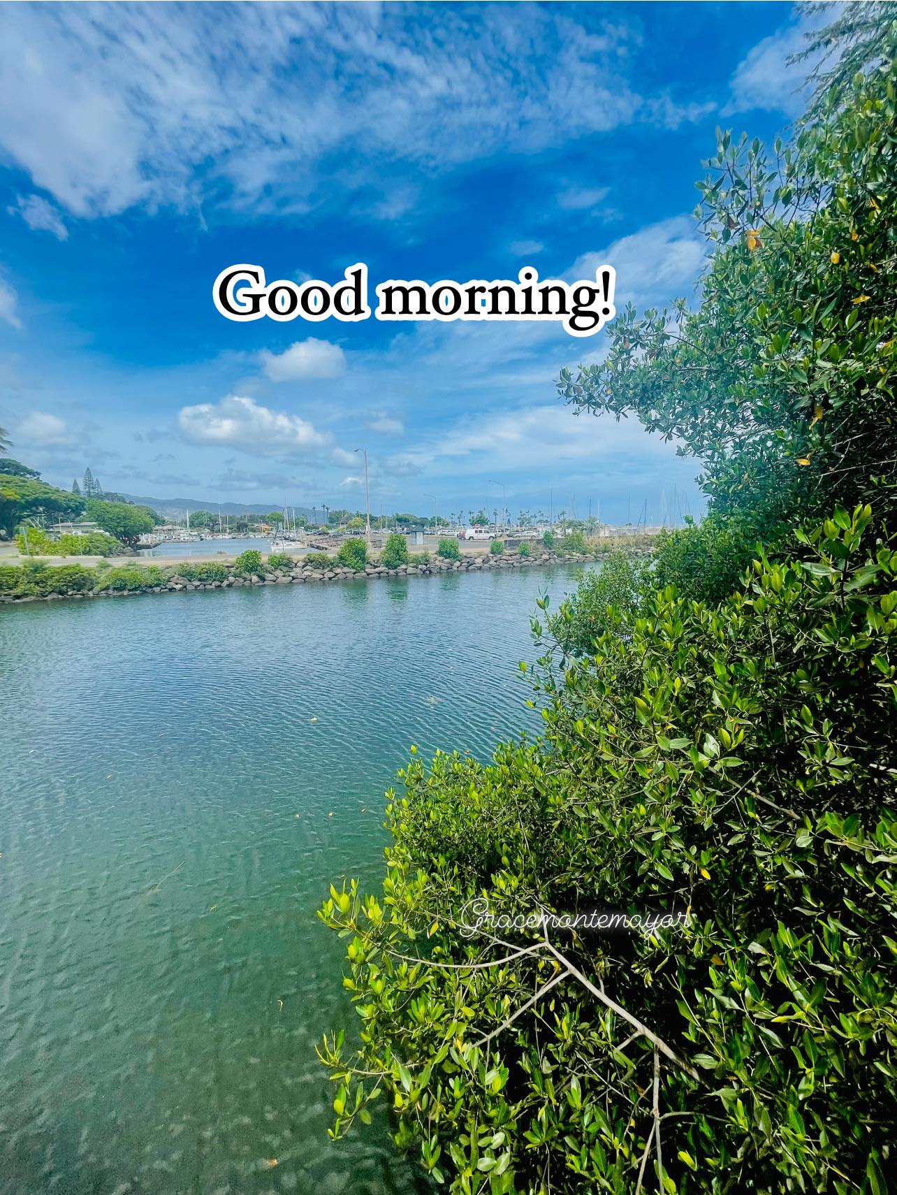 Sending morning greetings your way! ☀️❤️ #summer #aloha
