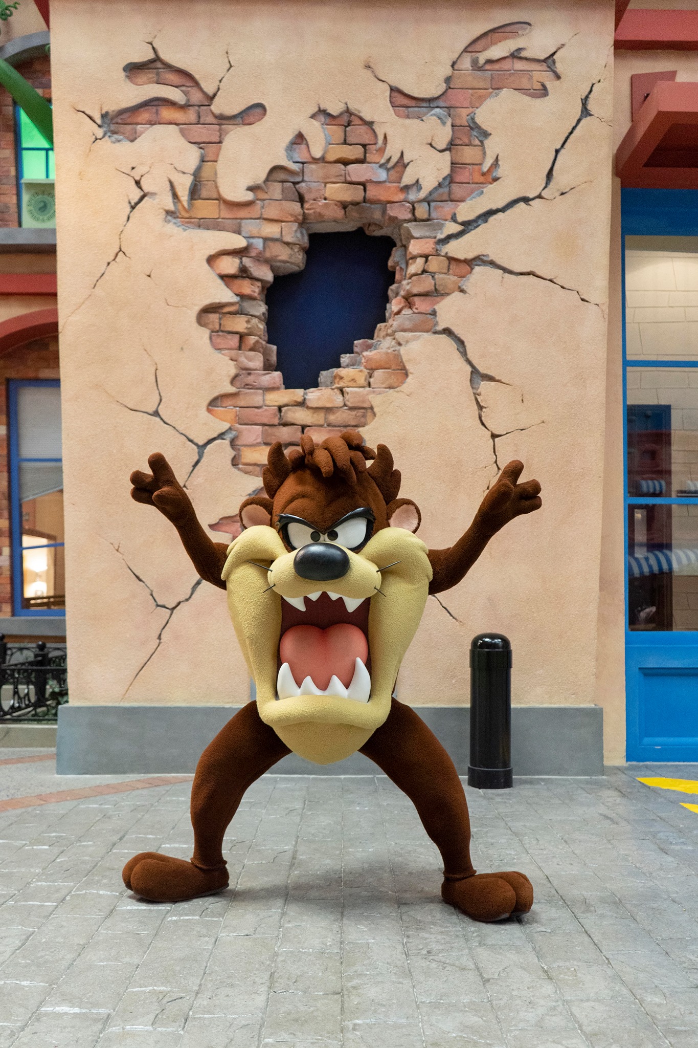 Warner - No, that’s not a tornado, it's the snarly snappy Tasmanian ...