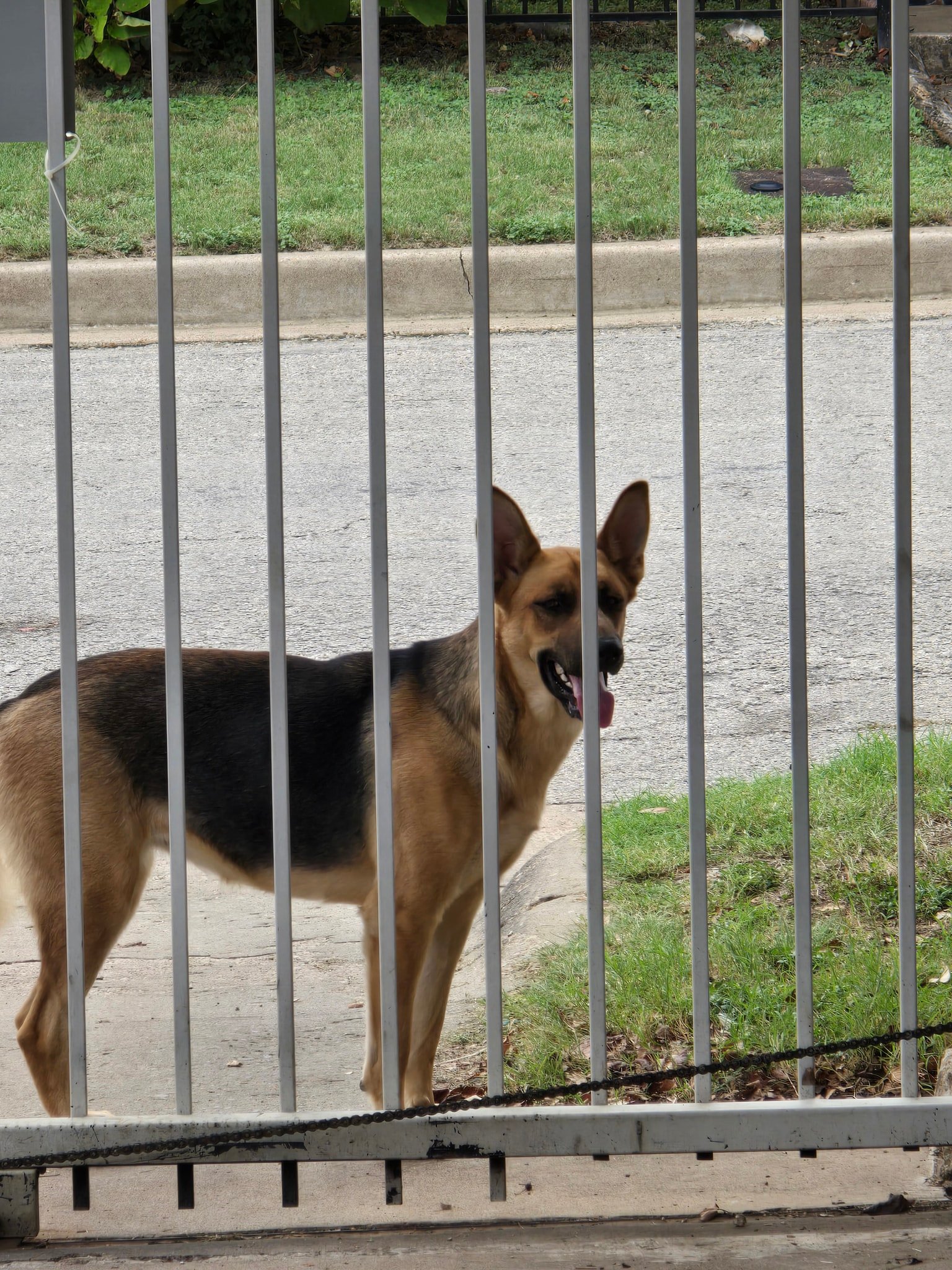 Northside Neighbors y Vecinos Of Fort Worth | If anyone is missing a ...