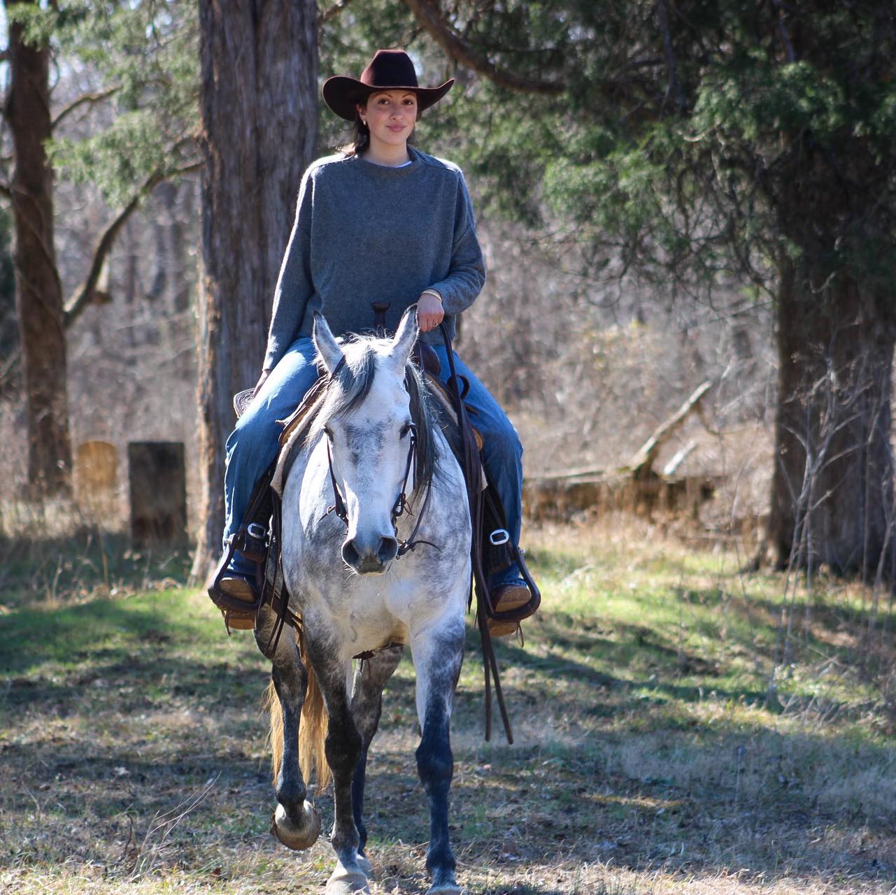 Here is a video outlining how I teach my horses to pick me up off the ...