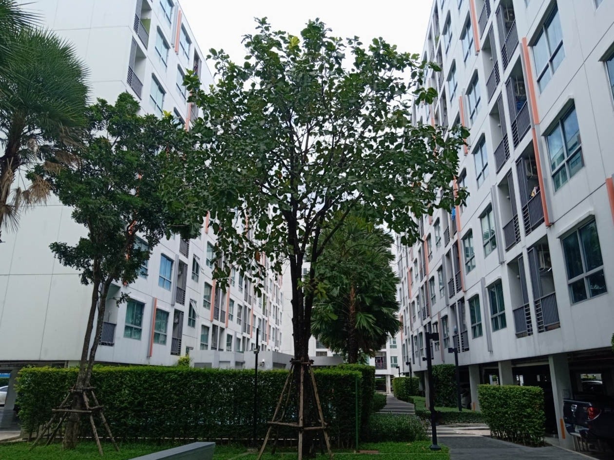 65426 - ขายด่วน คอนโด เดอะนิช ไอดี... - Estate Corner Rama 2 | Facebook
